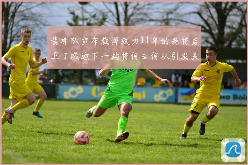 黄蜂队宣布裁掉效力11年的老将后卫丁威迪下一站将何去何从引发关注