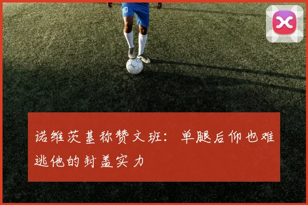 诺维茨基称赞文班：单腿后仰也难逃他的封盖实力